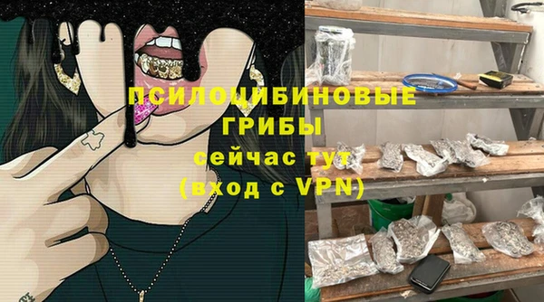 ECSTASY Вяземский