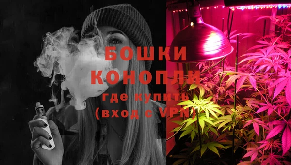 ECSTASY Вяземский