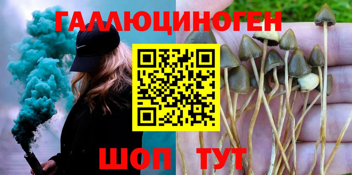 Псилоцибиновые грибы GOLDEN TEACHER Дивногорск