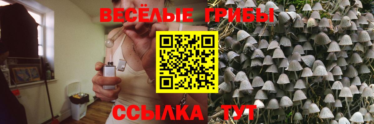 Псилоцибиновые грибы Magic Shrooms  Вход с VPN  Дивногорск  как найти наркотики  Галлюциногенные грибы MAGIC MUSHROOMS 